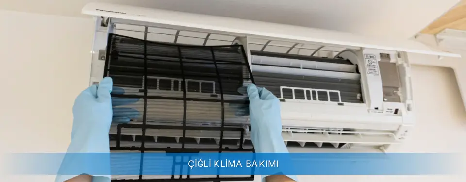 Çiğli İlçemi Carrier Klima Bakımı