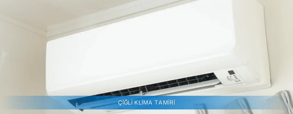 Çiğli İlçemi Carrier Klima Tamiri